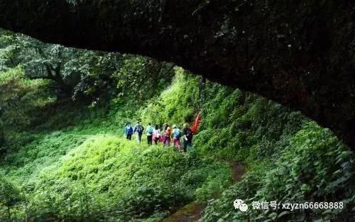 袋鼠逃生